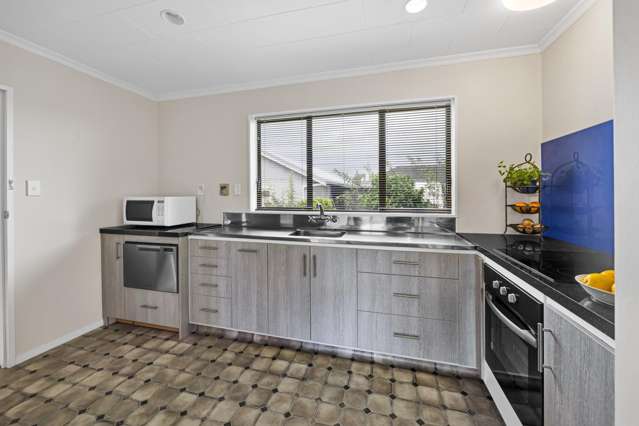 24A Albion Street Hawera_1