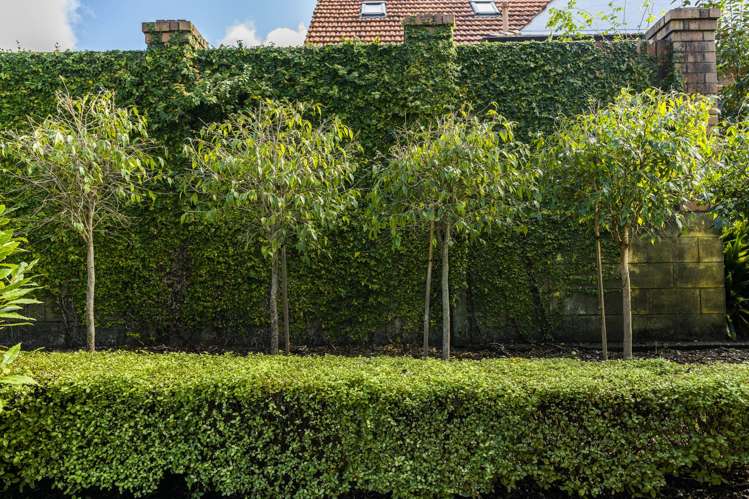 10 Rurumoki Street Regent_28