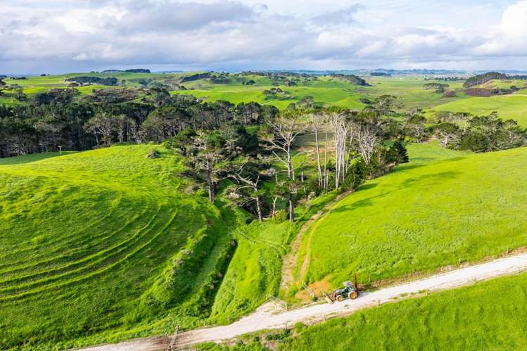 Lots 2, 3 and 4 Mahuta Road Dargaville_14