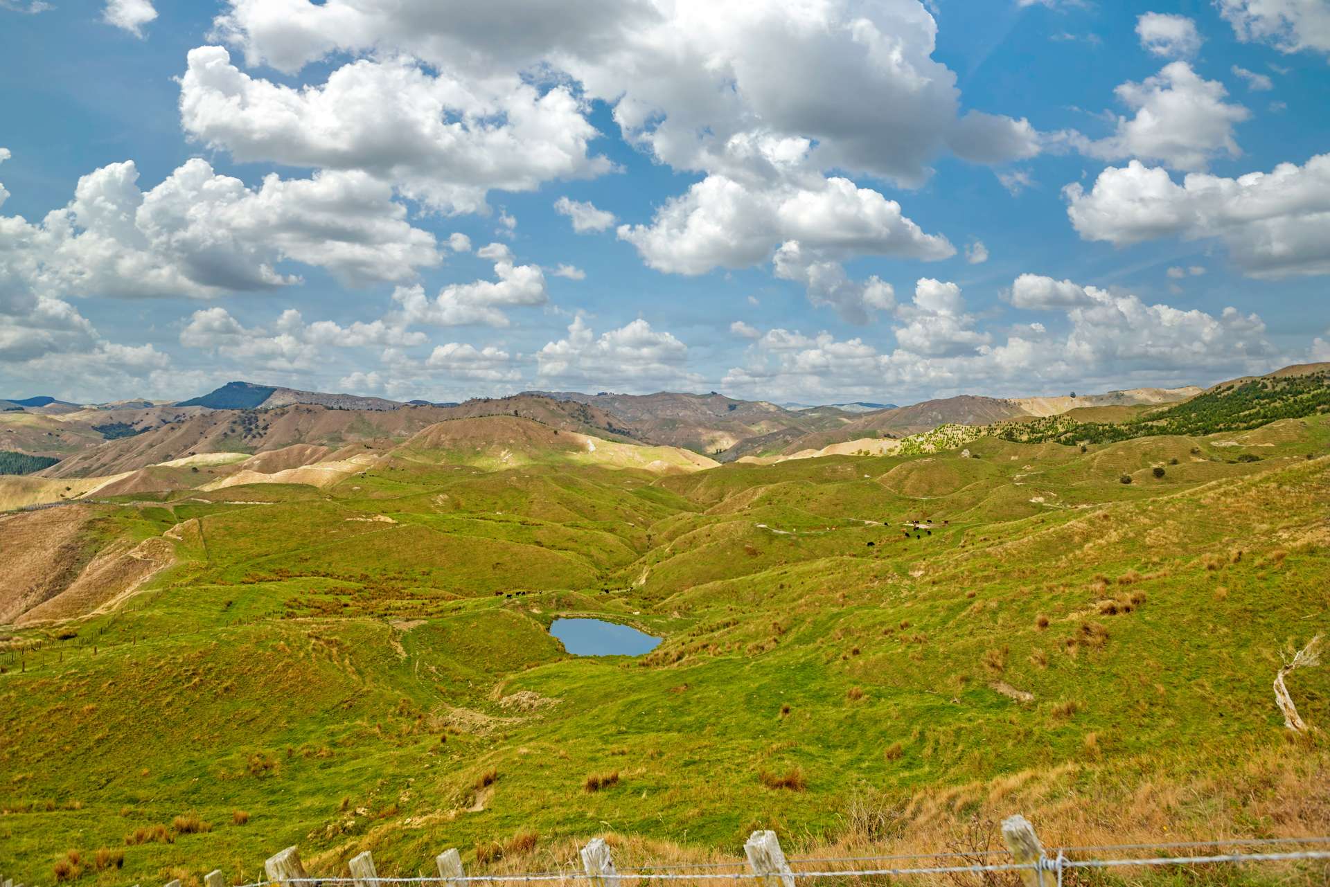 3643 Wharekopae Road Rere_0