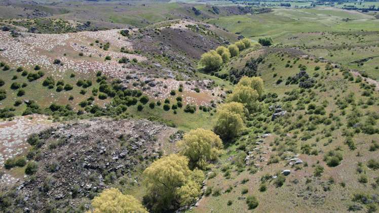 Lot 1 Ida Valley - Omakau Road Ophir_9