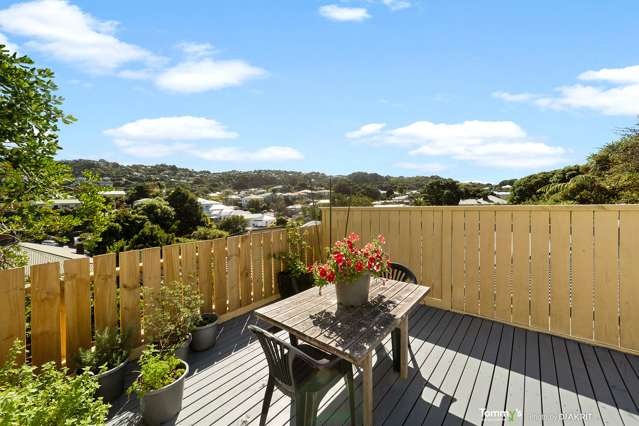 3 Dawson Street Berhampore_1