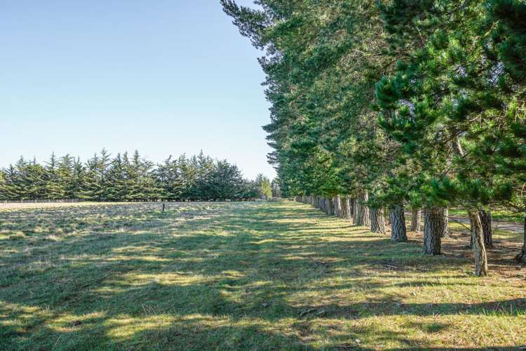 5a Pesters Road West Eyreton_5