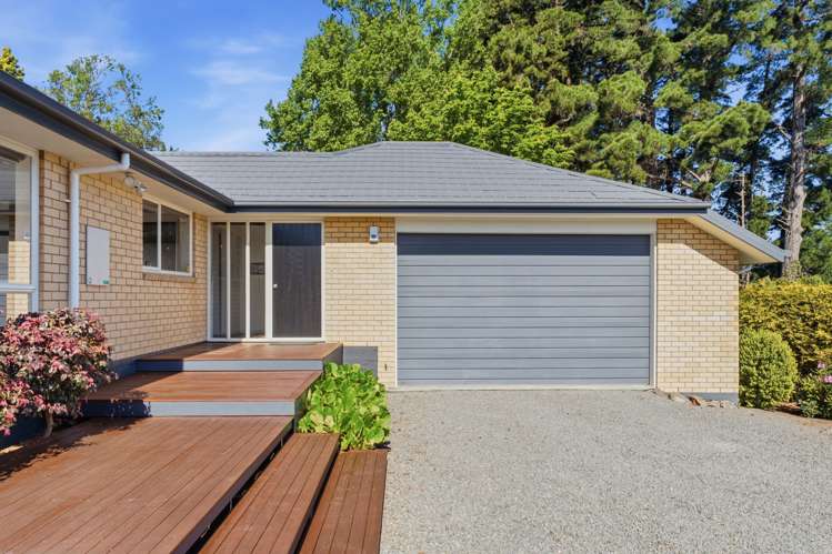 35A Shalamar Drive Cashmere_19