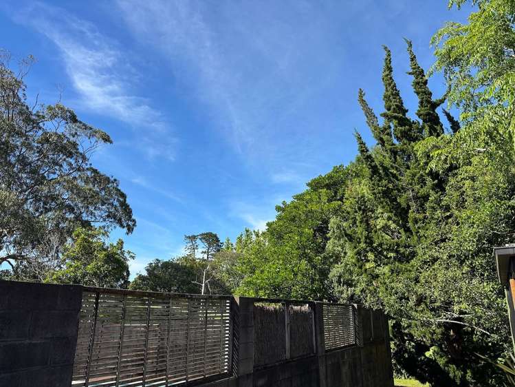 11 Fairway Drive Mount Roskill_7