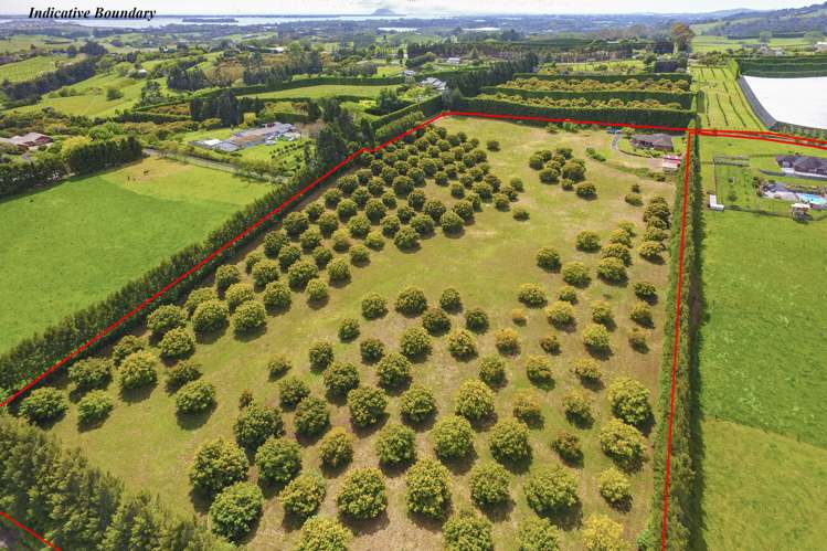 416 Youngson Road Whakamarama_2