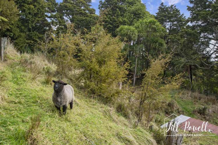 54 Paparoa Station Road Paparoa_15