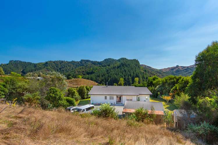 13b Bush View Drive Raglan_16
