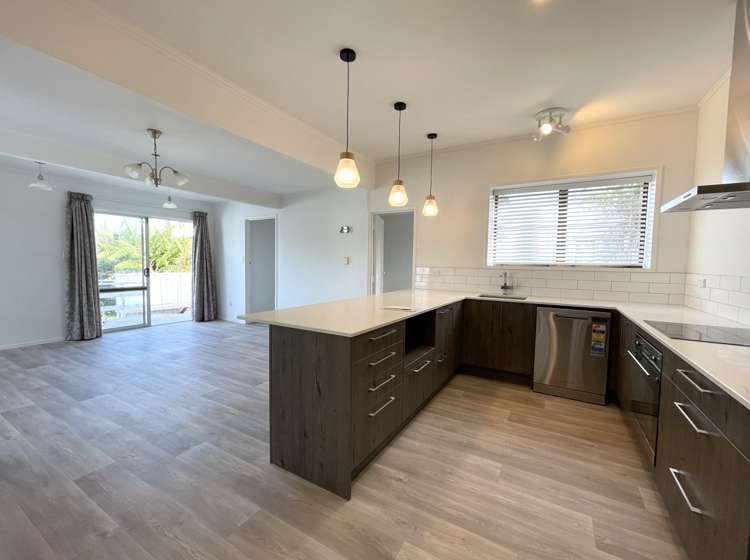 7 Denbigh Avenue Mount Roskill_17