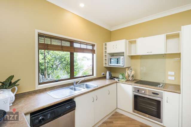 47 Fitchett Street Palmerston North Central_2