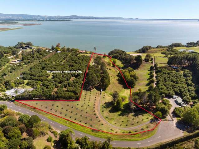 331 Pahoia Road Whakamarama_1