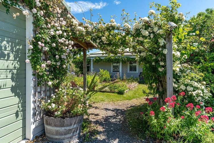 253A Kokotau Road Kokotau_33