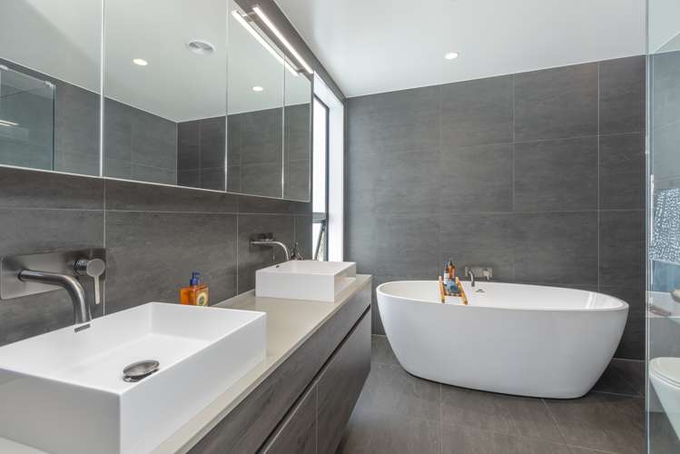 61b Holly Street Avondale_18