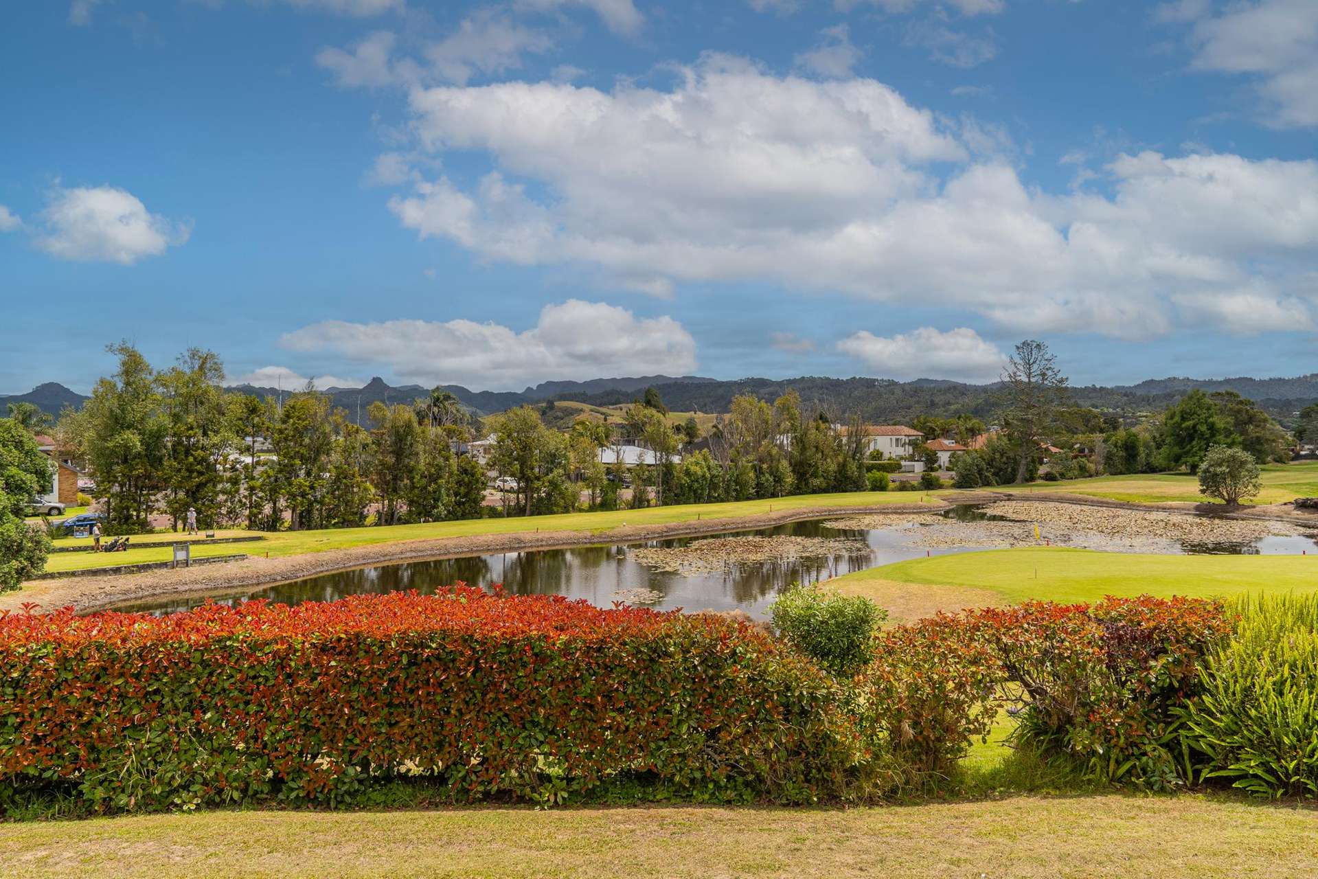 6 Lake Court Pauanui_0
