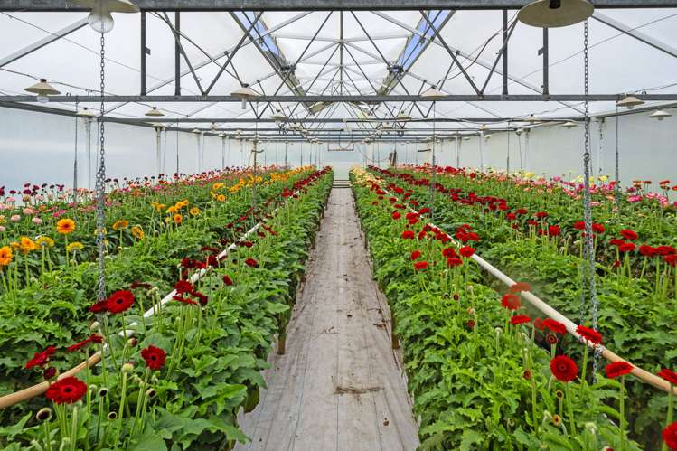 36A Horotane Valley Road Heathcote Valley_21