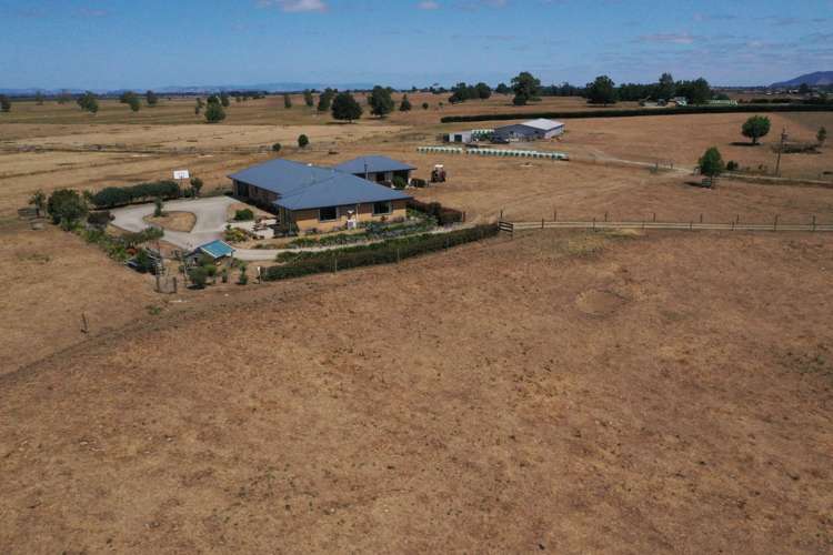 111 Mill Road Ohaupo_21