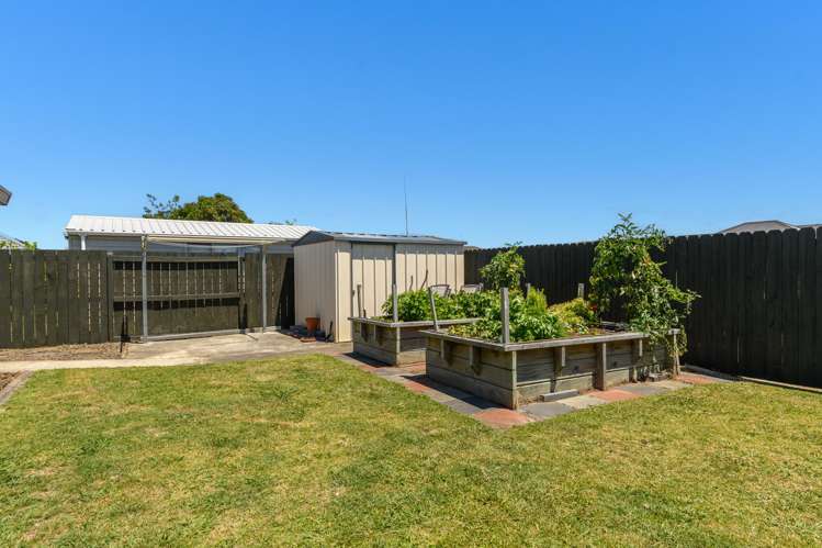 118 Evans Road Papamoa_14