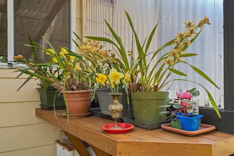 52 Stansell Avenue Tahunanui_29