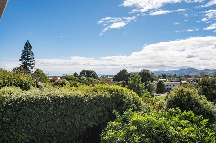 19 Shearer Terrace Richmond_3