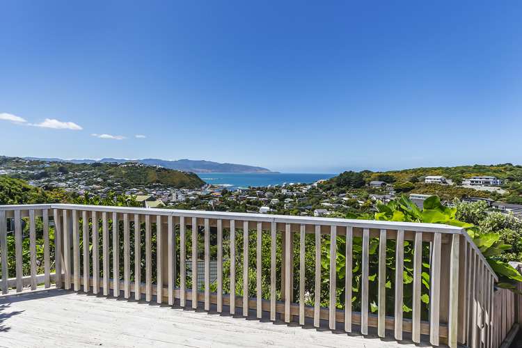 48 Frobisher Street Island Bay_12