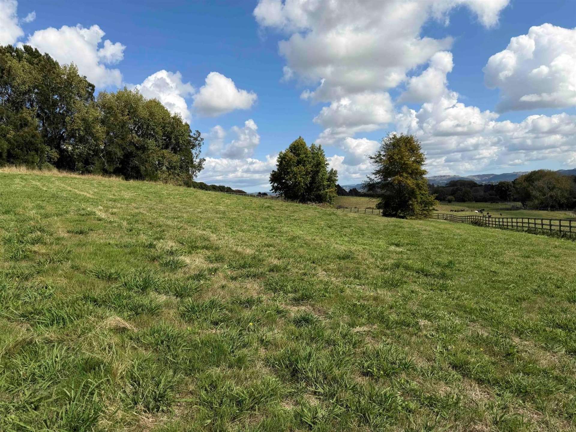 216 Gillard Road Ohaupo_0