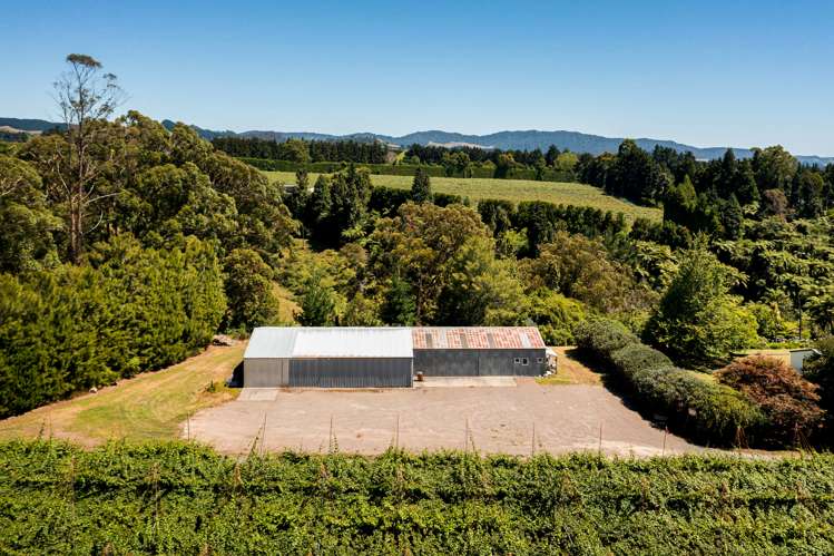 881b Te Matai Road Te Ranga_23