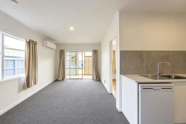 3/3 Littler Street Hamilton East_2