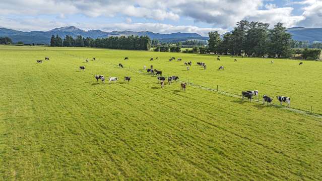 Windwhistle Road Windwhistle_2