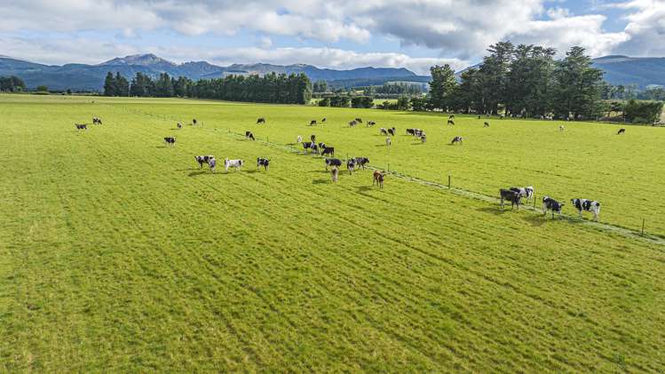 Windwhistle Road Windwhistle_2