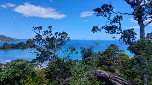 Lot 3 Waimarie Avenue Oakura_2