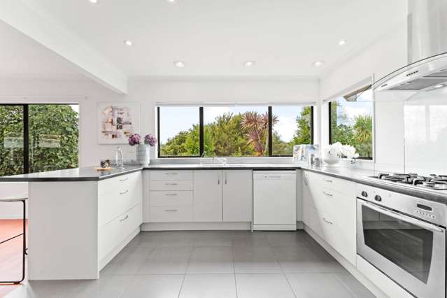 73 Wright Road Dairy Flat_2