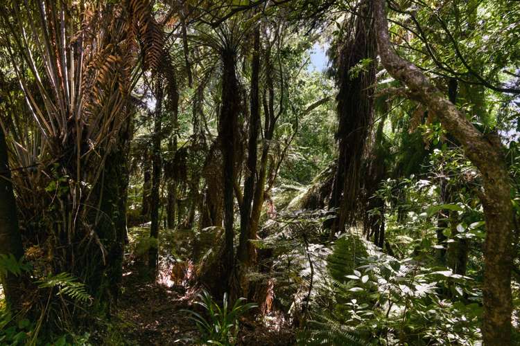 19 Beverley Crescent Hillcrest_22