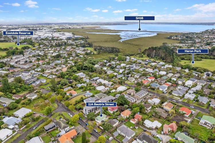 11a Beatrix Street Avondale_11