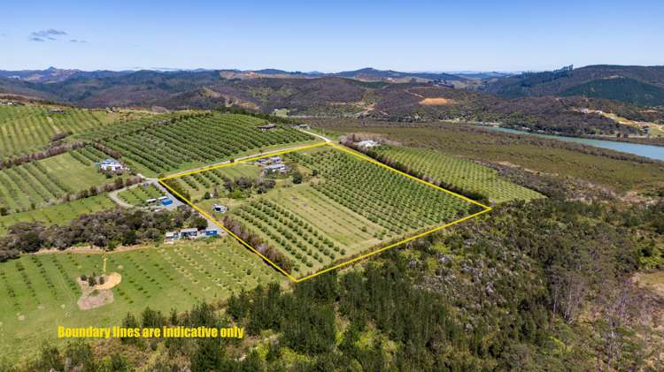 125b Frantoio Ridge Road Mangonui_31