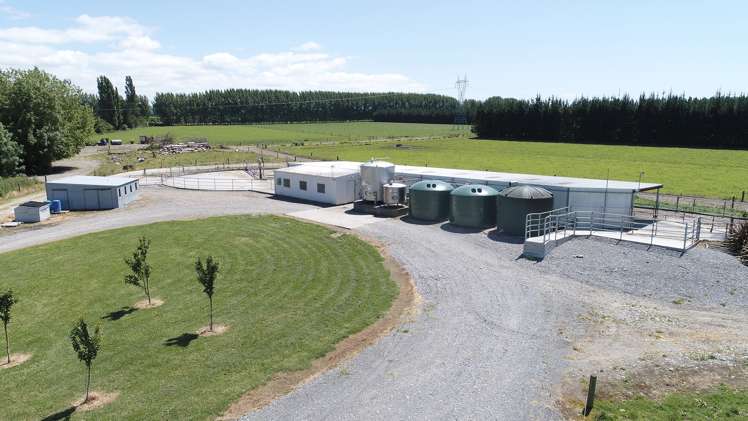 750 Ashburton Staveley Road Greenstreet_9