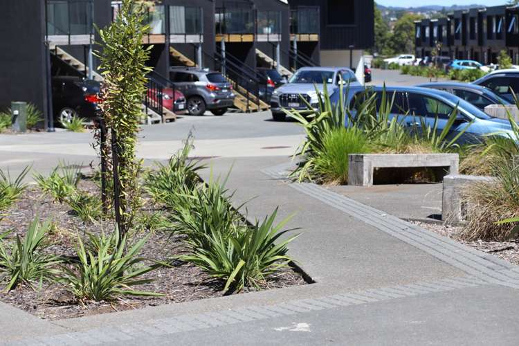 54 Tamora Lane Avondale_17