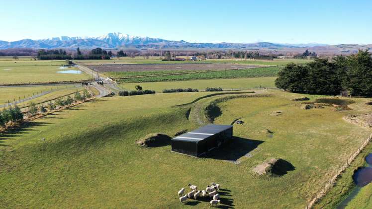 59 Oldfields Road Fairlie_10