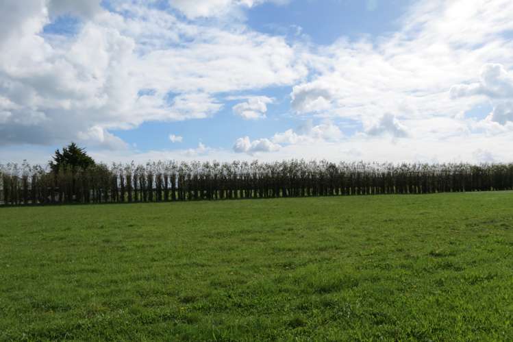 5 Westview Drive Tinwald_5