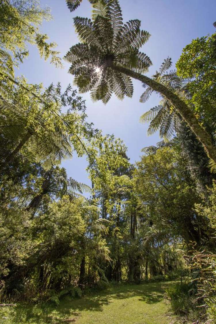 425B Lund Road Katikati_14