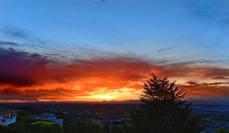 6 Westenra Terrace Cashmere_29