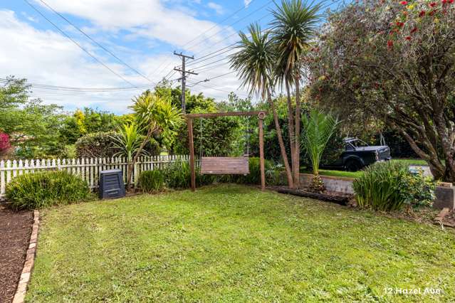 12 Hazel Avenue Mount Roskill_1