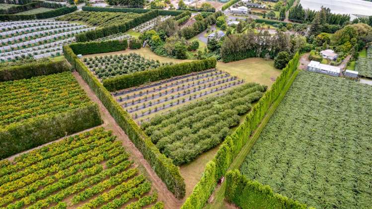 565 Kerikeri Road Kerikeri_11