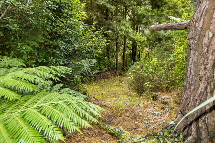 144 Pinehaven Road Pinehaven_8