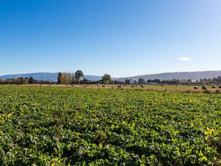 257 Gordon Road Mosgiel_1