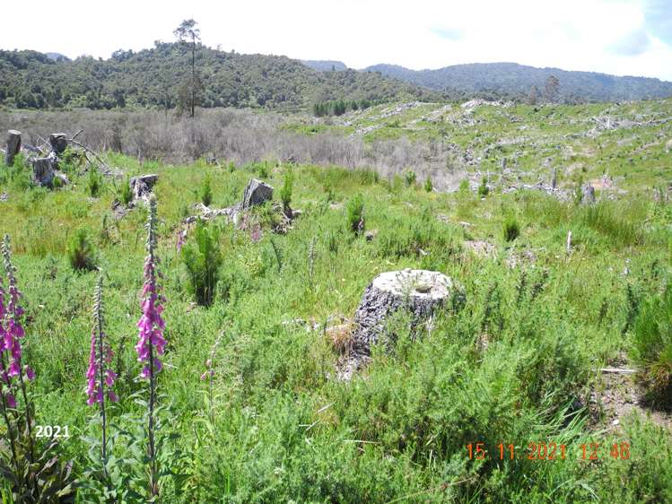 Marsden Road Marsden_8