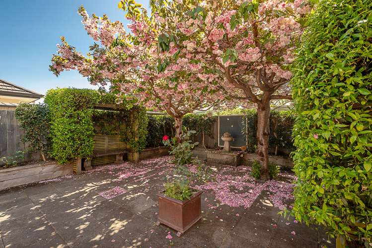 11 Roussel Place Springlands_17