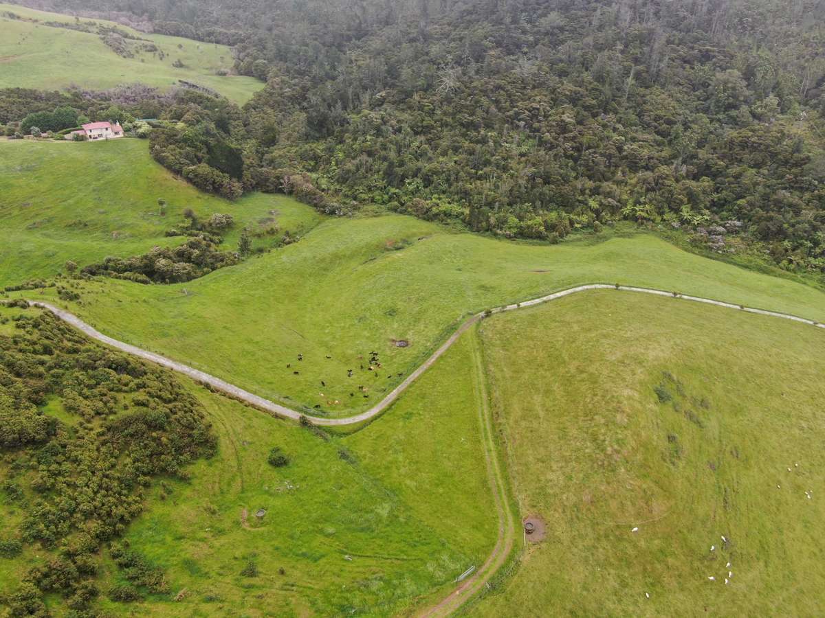 Lot 7/3327 State Highway 25, Tairua Road_2