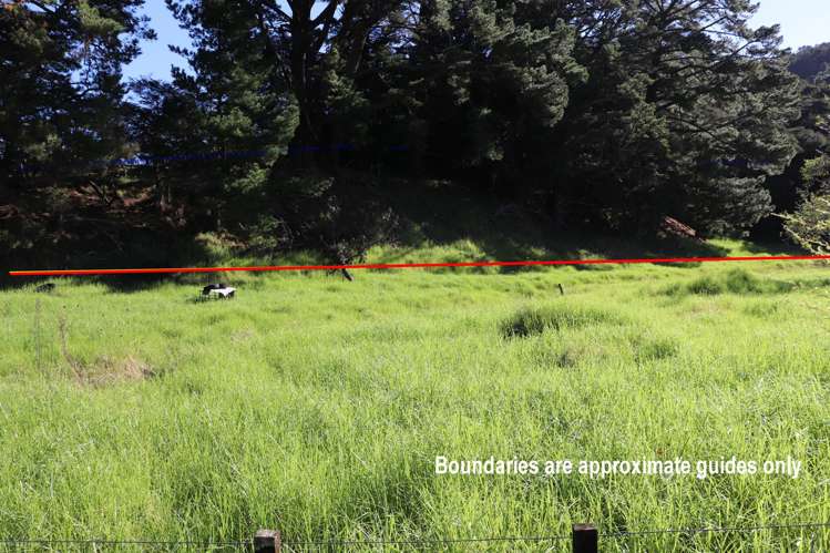 163 and 165 Tapu Coroglen Road Tapu_13