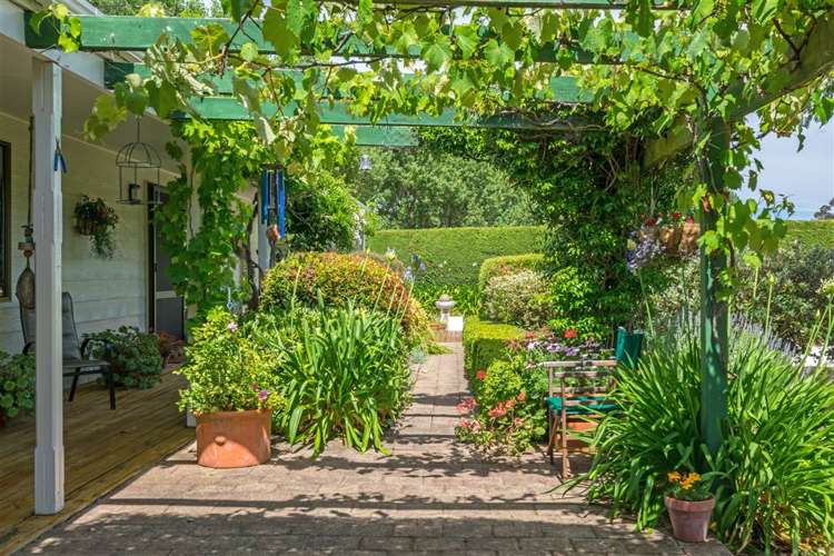 216 Neal Road Spring Creek_24