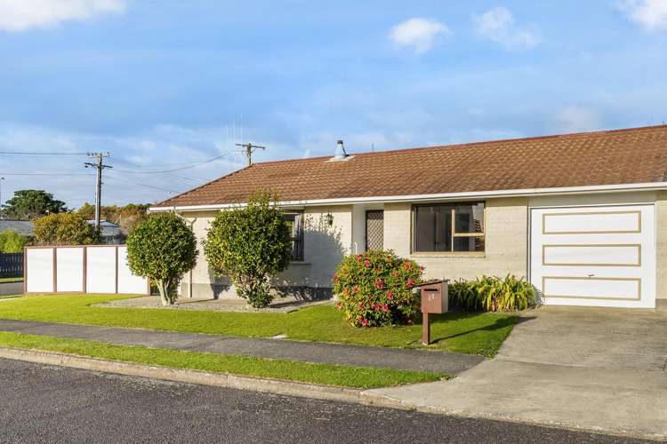 4B Baden Street Levin_15